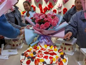 mk网站_MK(中国)举办三八妇女节活动